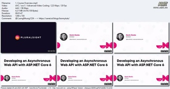 PluralSight Developing an Asynchronous ASP NET Core 6 Web API