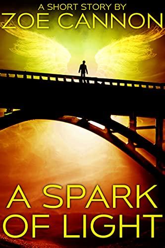 2 books by Zoe Cannon