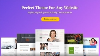 DesignOptimal Astra v2 4 4 Astra Pro v2 5 0 WordPress Theme All Premium Add Ons NULLED