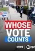 Whose Vote Counts 2020 1080p WEBRip x265 R4RBG TGx