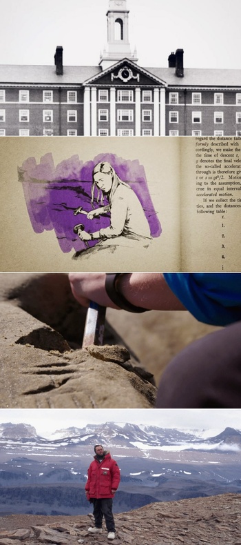 NOVA S48E06 Picture a Scientist 480p x264 ZMNT