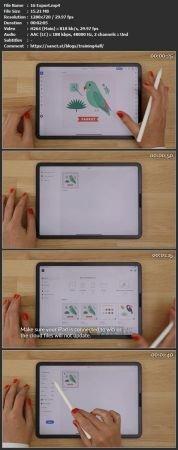 Skillshare Quick Start Guide Adobe Illustrator for iPad