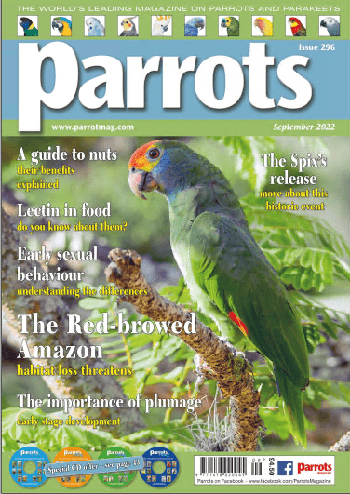 Parrots Magazine September 2022