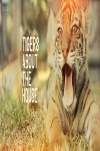BBC Tigers About the House Series 1 1080p x265 AAC MVGroup org mkv