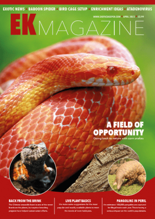 Exotics Keeper April 2022