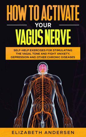 FreeCourseWeb How to Activate Your Vagus Nerve Self Help Exercises for Stimulating the Vagal Tone and Fight Anxiety Depression and other Ch