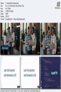 Linkedin Choose Your Go Framework Chi Router FastHTTP Fiber Echo Gin Gonic Go Kratos