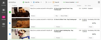 HD Downloader 6 3 2 crackerfg