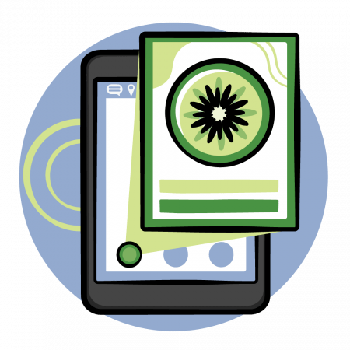 FreeCourseWeb Flutter Hero Animations
