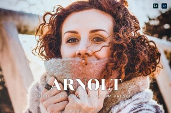 DesignOptimal Arnolt Mobile and Desktop Lightroom Presets