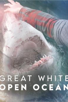 Great White Open Ocean 2022 720p web YTS