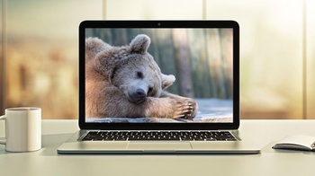 FreeCourseWeb Udemy Hibernate Advanced Development Techniques