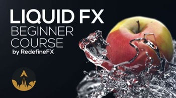 FreeCourseWeb INE Phoenix FD Beginner Liquid FX Course