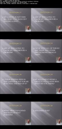 Udemy 101 Questions A New Beekeeper Should Ask