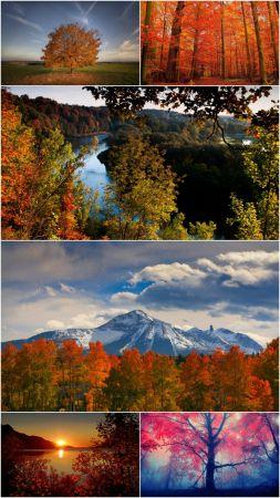 DesignOptimal Fall scenery wallpaper Pack 34