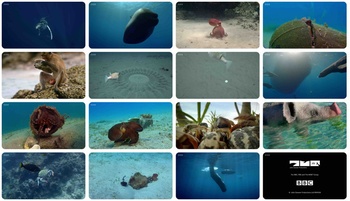 Spy in the Ocean S01E01 Deep Thinkers 1280x720p HD 50fps soft Eng subs