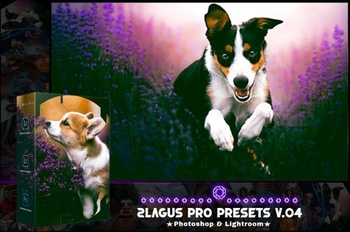 DesignOptimal PRO Presets V 04 Photoshop Lightroom