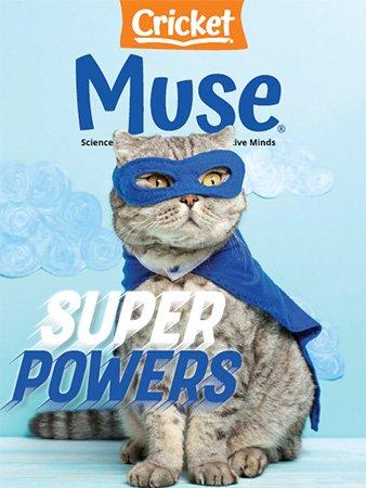 DevCourseWeb Muse January 2021