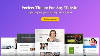 DesignOptimal Astra v2 4 5 Astra Pro v2 5 1 WordPress Theme All Premium Add Ons NULLED