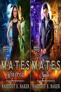 Bridget E Baker Magical Misfits Series 1 2