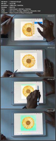 Skillshare Draw and Animate a Flower in Procreate