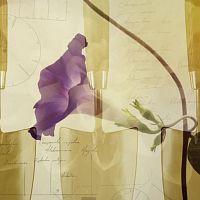 RHS Hampton Court Palace Garden Festival 2021 S01E01 720p HDTV x264 DARKFLiX TGx