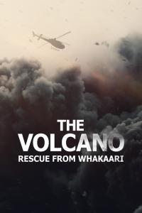 The Volcano Rescue from Whakaari 2022 1080p NF WEB DL x265 HEVC 10bit EAC3 Atmos 5 1 t3nzin QxR