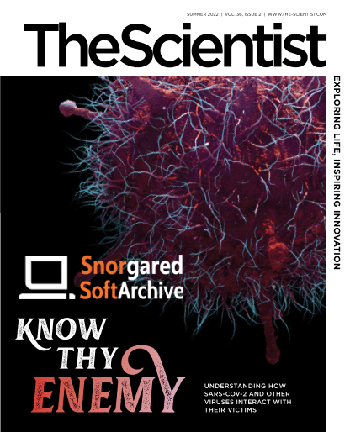 The Scientist Summer 2022 DevCourseWeb