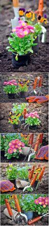 DesignOptimal Gardening flower planting beautiful stock photo