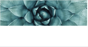 FreeCourseWeb Udemy Elementary English Level I Complete Course