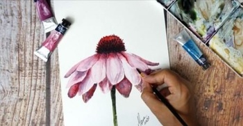 FreeCourseWeb Udemy Watercolor Daisy Paint a Realistic Pink Flower Step by Step