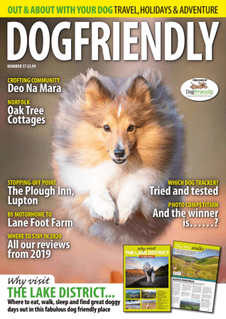 FreeCourseWeb Dog Friendly January February 2020