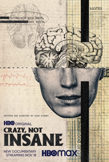 Crazy Not Insane 2020 720p 10bit WEBRip x265 budgetbits