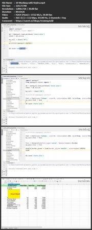 Skillshare Automate Excel with Python using OpenPyXL