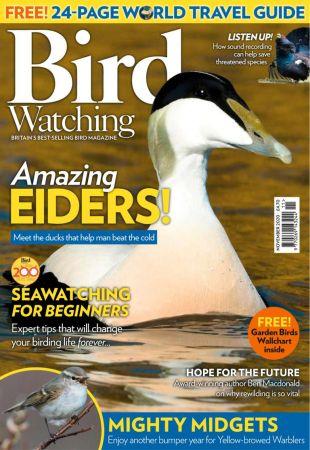 DevCourseWeb Bird Watching UK November 2020