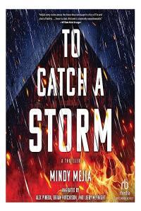 To Catch a Storm by Mindy Mejia EPUB