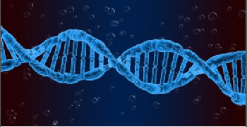 FreeCourseWeb Udemy Exploring Genetics Evolution Through Physical Anthropology