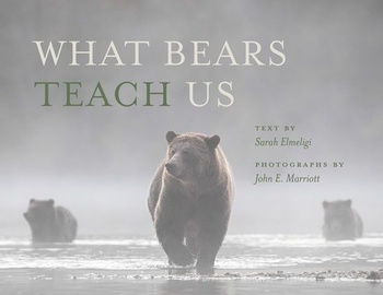 FreeCourseWeb What Bears Teach Us