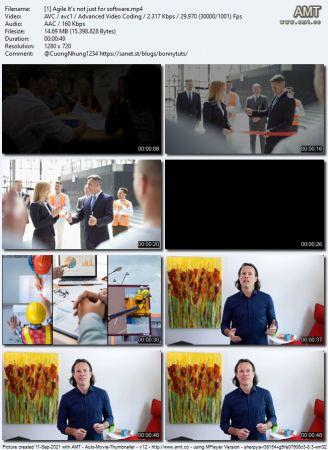 Linkedin Agile It s Not Just for Software