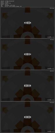 FreeCourseWeb Lynda Managing Innovation