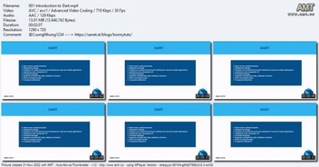 Udemy Dart Beginner Course 2023