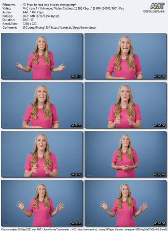 Linkedin How to Lead and Inspire Change