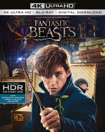 Animali fantastici e dove trovarli 2016 BDRip 2160p HEVC HDR ITA DTS HD MA 5 1 ENG TrueHD Atmos 7 1 ITA ENG AC3 PirateMKV mkv