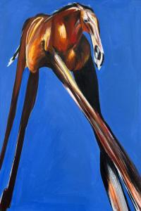 flamingo blonde Two Trick Pony 2023 16Bit 44 1kHz FLAC PMEDIA