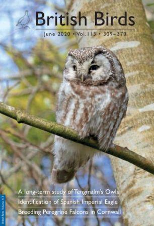 FreeCourseWeb British Birds June 2020