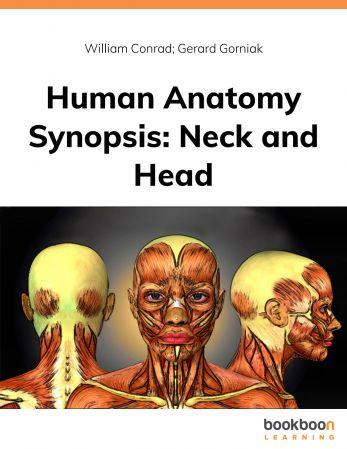 Human Anatomy Synopsis Neck and Head CourseWikia