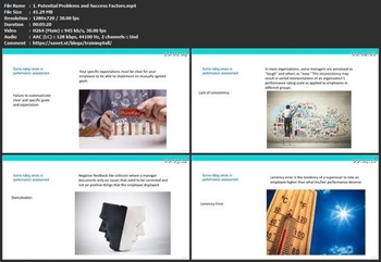 Udemy Performance Management From Big Picture to Details