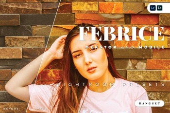 DesignOptimal Fabrice Desktop and Mobile Lightroom Preset