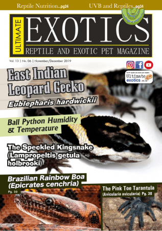 FreeCourseWeb Ultimate Exotics November December 2019
