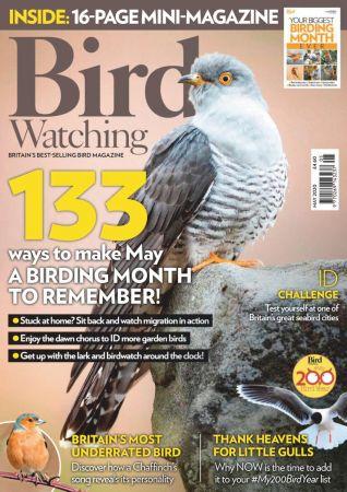 FreeCourseWeb Bird Watching UK May 2020